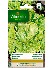 Vilmorin Zaden Bataviasla Blonde Van Parijs 4g