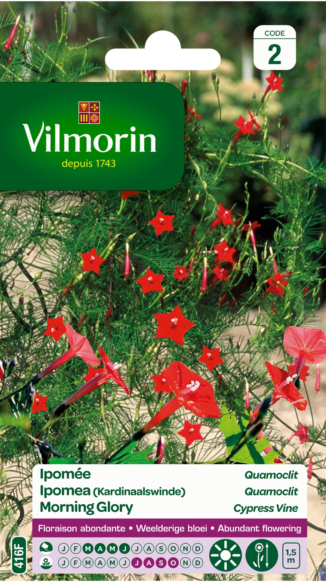 Bloemzaden Ipomea kardinaalswinde Quamoclit