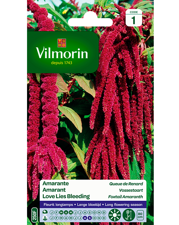Bloemzaden Amarant Vossestaart 2g