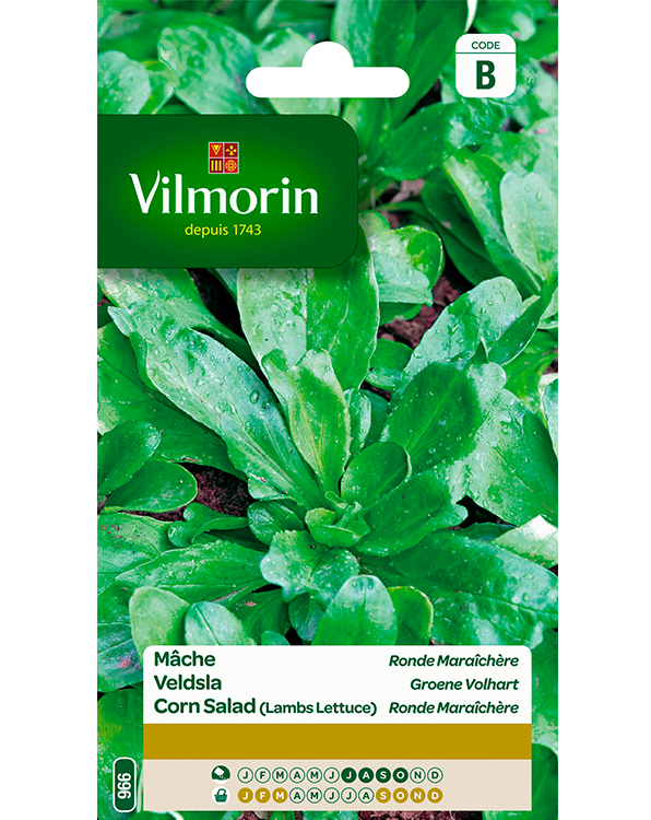 Vilmorin Zaden Veldsla Groene Volhart 4g