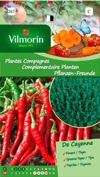 Vilmorin Zaden Complementaire planten spaanse peper en tijm