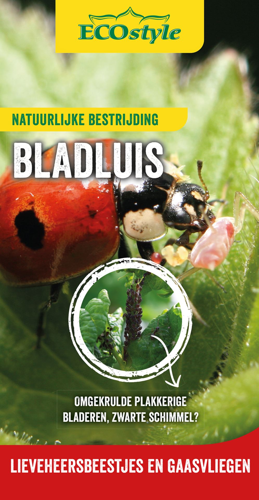 Ecostyle gaasvliegen: natuurlijke bladluisbestrijding voor een bloeiende tuin (1000 st/100 m²)