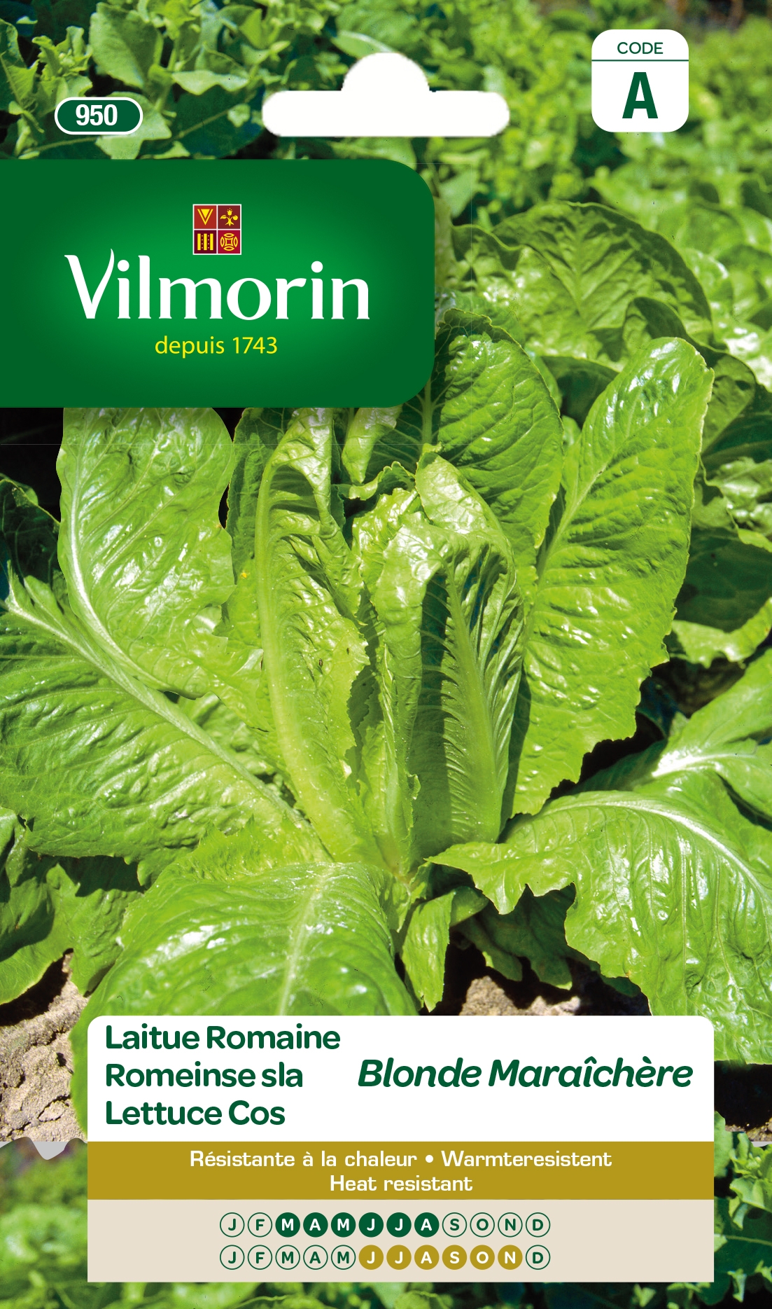 Vilmorin zaden Romeinse Sla "Blonde Volhart"
