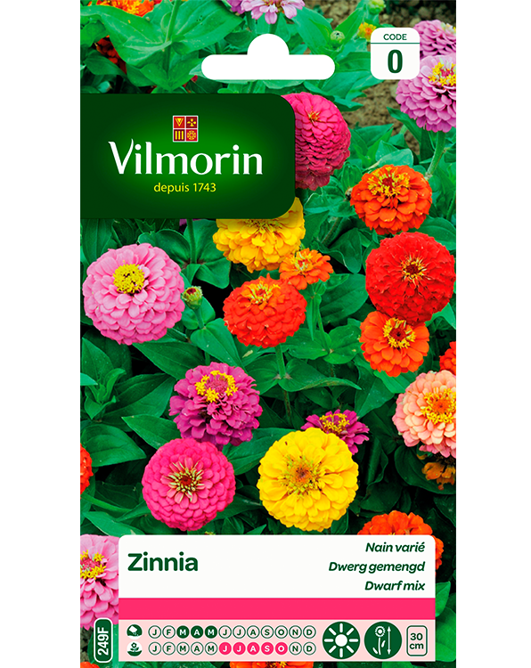 Bloemzaden Zinnia Dwerg Gemengd 2g