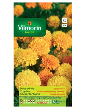 Vilmorin Bloemzaden Tagetes Dwerg gemengd 1g