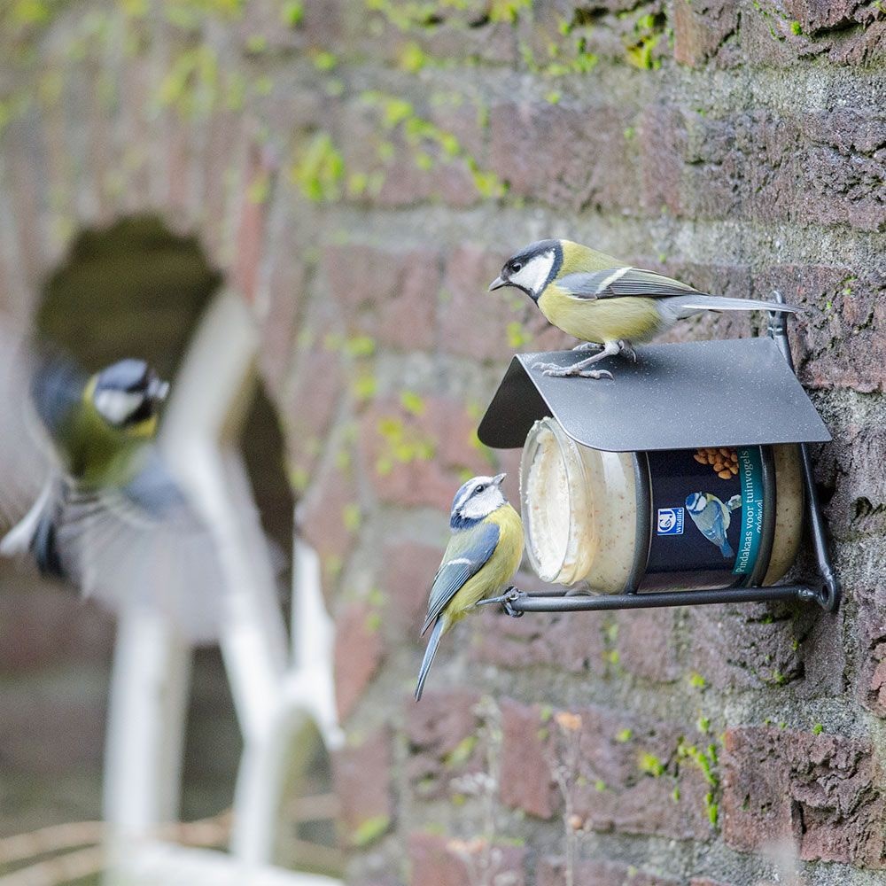 Pindakaas voor vogels 330g