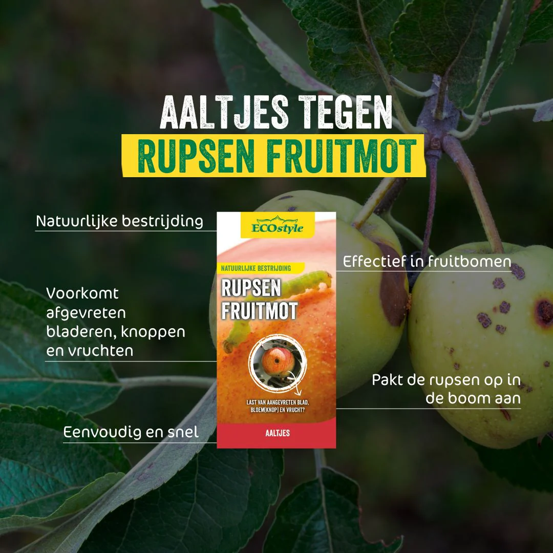 Aaltjes FC tegen larven fruitmot 10 mln/60 m² 🍎🐛
