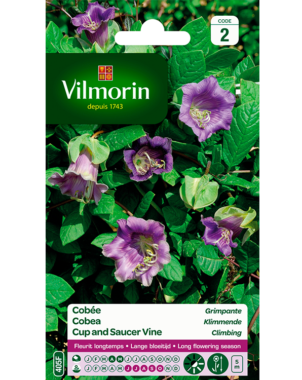 Bloemzaden Cobea Klimmende 1,5g