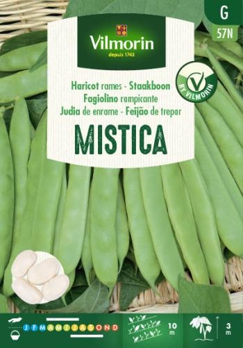 Vilmorin zaden Mistica Staakboon