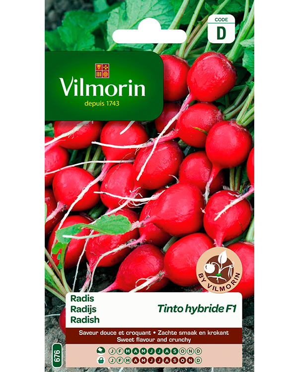 Vilmorin Radijs zaden Tinto F1 10g