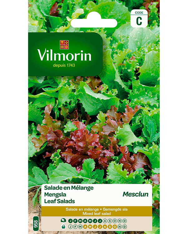 Vilmorin Zaden Mengsla Mesclun 4g