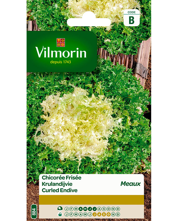 Vilmorin Krulandijvie zaden Meaux 4g