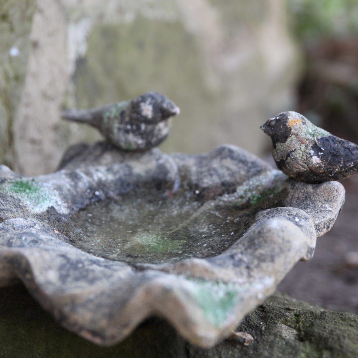Terra Cotta vogelbad met twee vogels