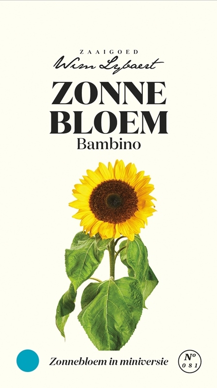 Wim Lybaert zonnebloemzaden: Bambino - Mini zonnebloem met veel gele bloemen, ideaal voor boeketten en potten.