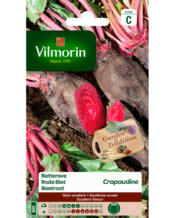 Vilmorin Zaden Rode Biet Crapaudine 4g