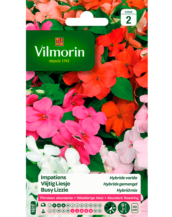 Bloemzaden Vlijtig Liesje gemengd 0,1g