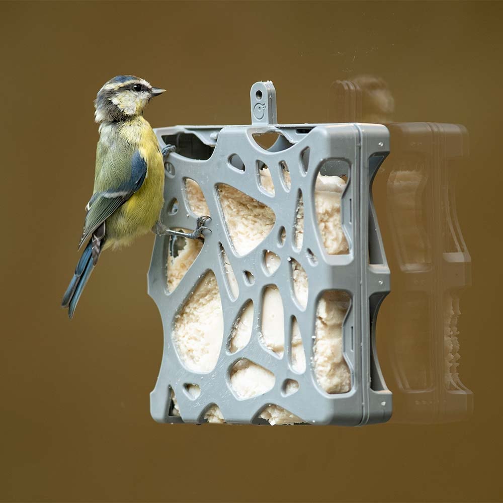 Birdcake met gedroogde insecten