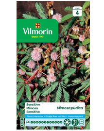 Exotische zaden Mimosa pudica Kruidje roer me niet 0,3g