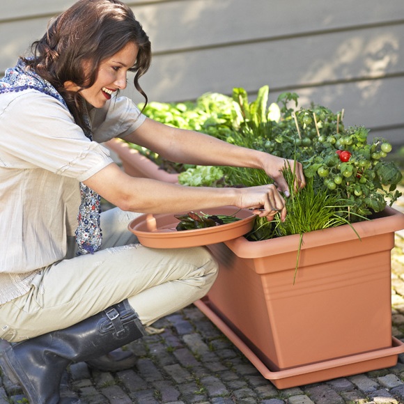 Elho Green Basics Garden XXL schotel 100cm