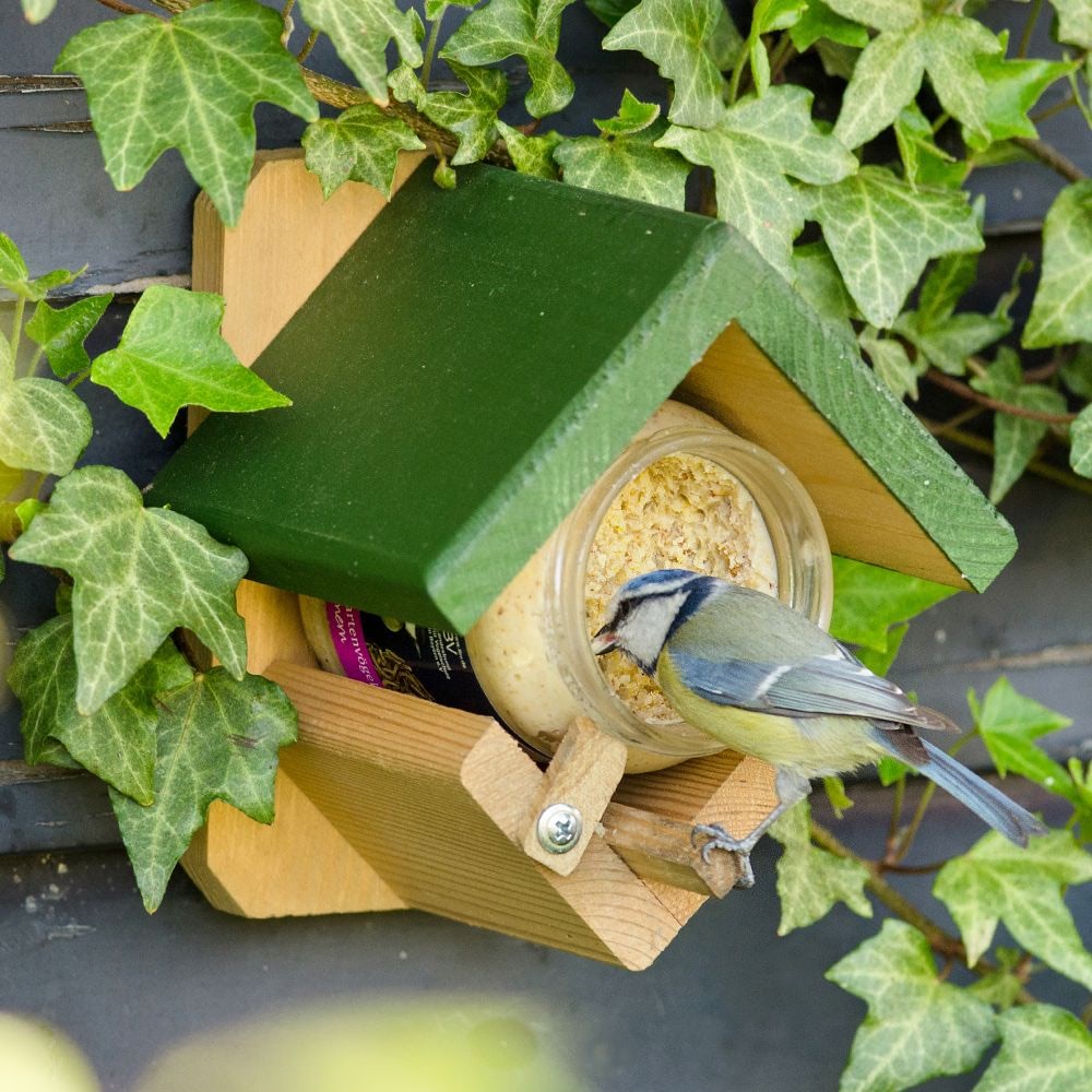 Vogelpindakaas met meelwormen