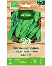 Bio groenten zaden Augurk Hokus HF1 2g
