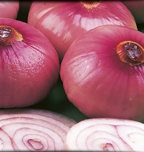 Roze Plantui, hittebestendig 250 g