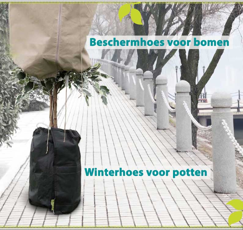 Grote beschermhoes voor planten en olijfboom 200x300cm