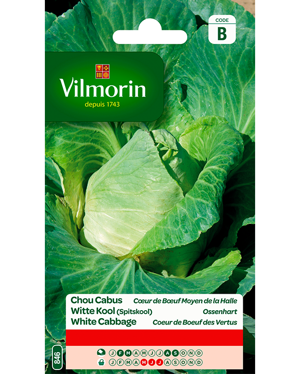 Vilmorin Witte Kool zaden Ossenhart 3g
