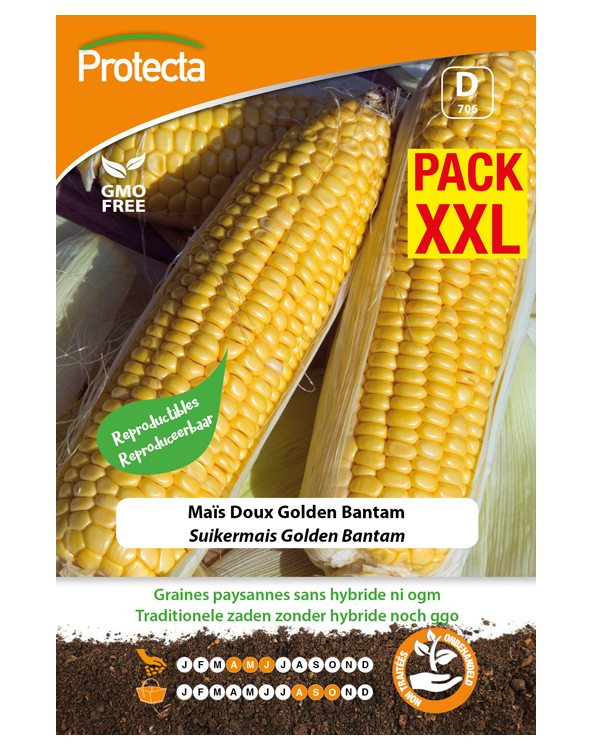 Zaadvaste Suikermais Zaden Golden Bantam XXL