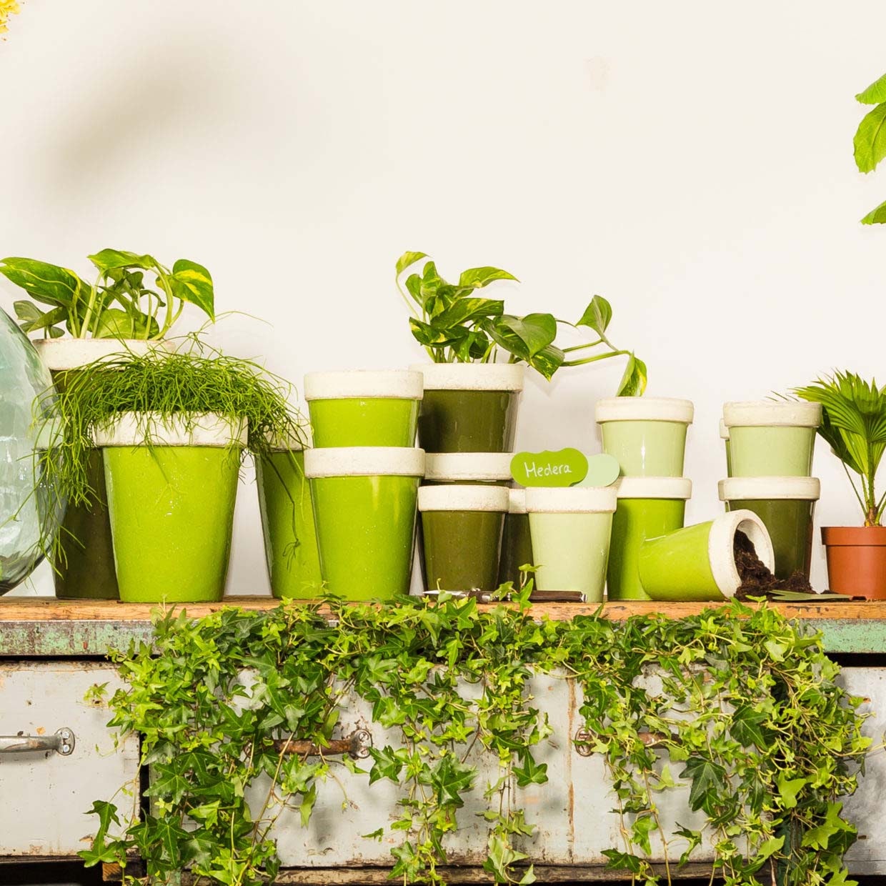 Groene plantlabels 6 stuks met stift