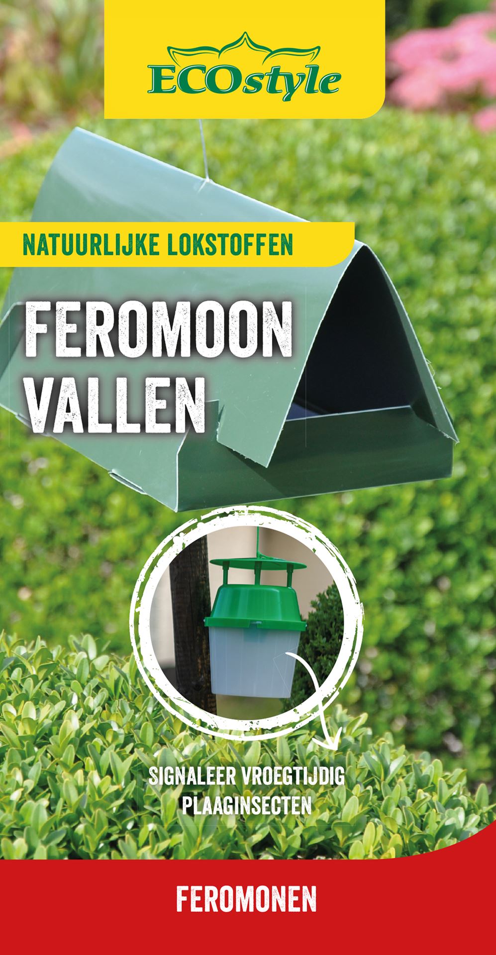 ECOstyle rechterval kleine wintervlinder + 2x feromoon 